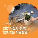 한국식물병원 | 의왕 사는 식집사라면 주목! 생활 원예 활성화를 위한 의왕시 찾아가는 식물병원 복지 서비스 이용 후기