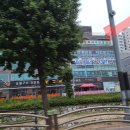 베르나르의원 이미지