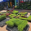 장기농약사 이미지