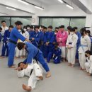 송도 와와 유도장 이미지