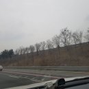 가로수자산관리