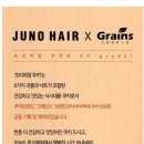 쿠키헤어 이미지