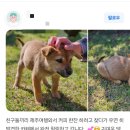 돌트멍으로드는보름