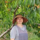 모모농장 이미지