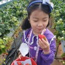 옥종농장 이미지