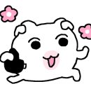 진악산오토캠핑장 이미지