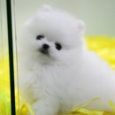 이화미용타운