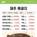 도화기획