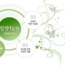 얼짱스킨