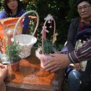 하일농장 이미지