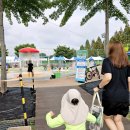 첨벙첨벙 | 증평 보강천 첨벙첨벙 물놀이장 개장기간 및 후기