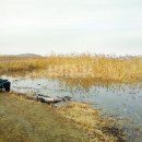 남양호 상류 이미지