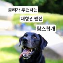 탐스럽개 네이버블로그
