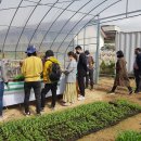 (사)소백산천연염색협회 이미지