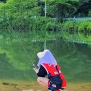 기광농장 네이버블로그