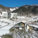 산림힐링재단 이미지