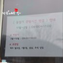청양 볼거리 백제문화체험박물관은 어린이 체험이 가득한곳