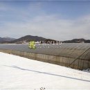 청계리농장 이미지