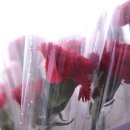 선일태권도장 이미지