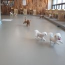 아기곰스튜디오 이미지