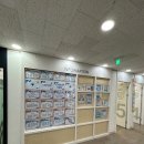 비전하이 이미지