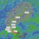 유럽중기예보센터(ECMWF)에서 예측하는 12호태풍 무이파 경로 이미지