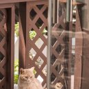 옥림농장 이미지