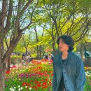 철원중학교, 철원고등학교_ 이미지