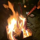 스마트바이브 | [제주 명절 설날 특산품 선물추천] 캠핑장에서 즐긴 육즙 팡팡 '바이브업 흑돼지' 리얼 후기!