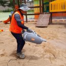 영양중앙초교병설유치원 이미지