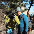 솔밭캠프장 이미지