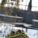 낙동주유소 | 빛이 머무는 공간, 완벽한 순간을 선사하는 힐링 플레이스