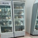 베스티멍 이미지