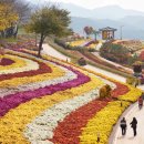남산공원 이미지
