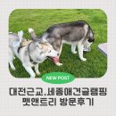 트리앤캠프스토리 | 대전근교애견글램핑 세종근교애견글램핑 펫앤트리에서 강아지들과 힐링