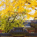 창종 | 선운사 특별전, 단순 전시가 아니었다? 숨겨진 의미와 감동 미리보기