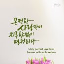 화목교회 이미지