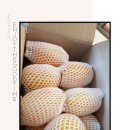 남대문 안경마을 이미지