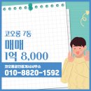 코오롱공인중개사사무소 이미지