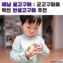 [공지] 해남 꿀고구마 군고구마 해먹기에 딱인 인생고구마 추천