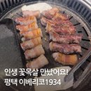 1934 | 새로생긴 평택역맛집 이베리코1934 방문후기 꽃목살 강추