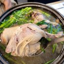 내조산 | 내조 삼계탕 부천시청역 삼계탕 부천 맛집 회식 내돈내산