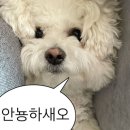 행운크리닝 | 하안유 산후조리원 9박 10일 후기 (feat.72시간 모자동실)