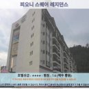 피오니마켓 | 카메론 하일렌즈 여행 추천! 피오니 스퀘어 레지던스 호텔 후기