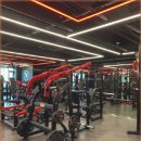 울프짐24 이미지