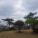하늘보라 - 동구 중앙대로196번길 6-7 | 하늘보라