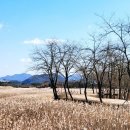 공원골프클럽(주) - 11767 | 공원골프클럽(주)