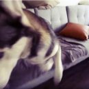 고기먹방 이미지