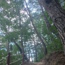 회동주차장 이미지