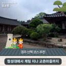 '첨성대에서 계림 지나 교촌마을까지' 경주 산책 코스 추천 | 경주시 SNS 알리미 강소영